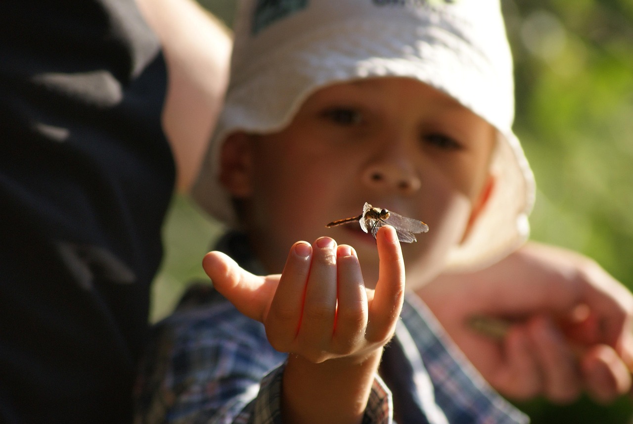 Healthy Plate for Kids and Easy Tips to Make Mealtime Better! 3